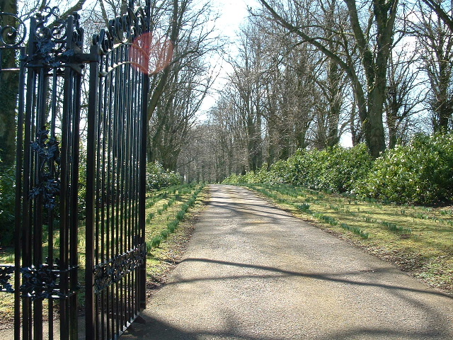 File:The drive to Glanmonnow House - geograph.org.uk - 139719.jpg
