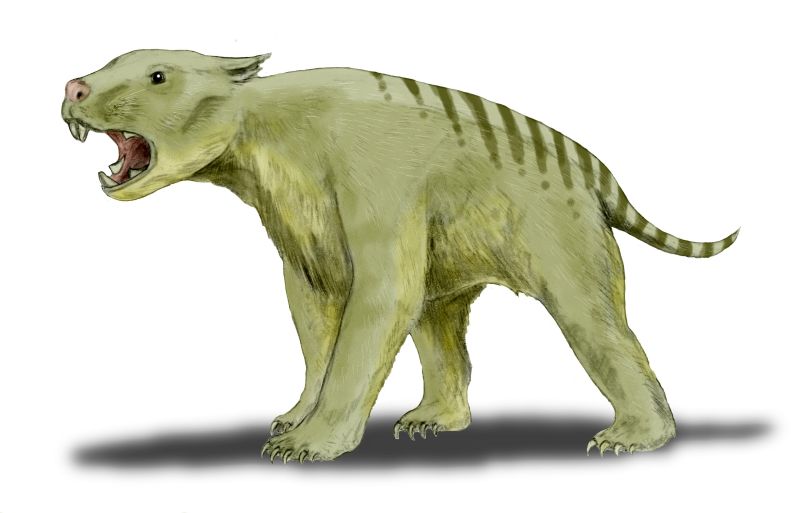 File:Thylacoleo BW.jpg