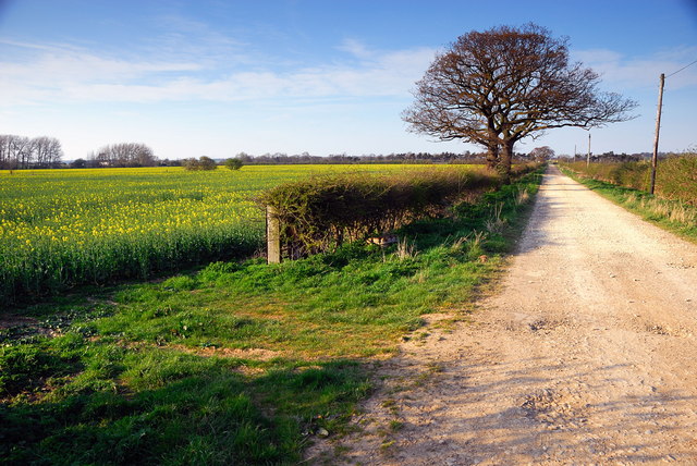 File:Track from Chesterton Lodge, Chesterton - geograph.org.uk - 393997.jpg