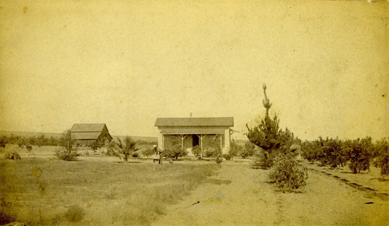 File:1884 Cabinet Photo Ranch at Cucamunga San Bernardino CA.JPG