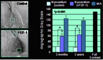 Реферат: Steroids And Their Effect On The Human