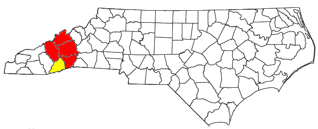 File:Asheville-Brevard CSA.png