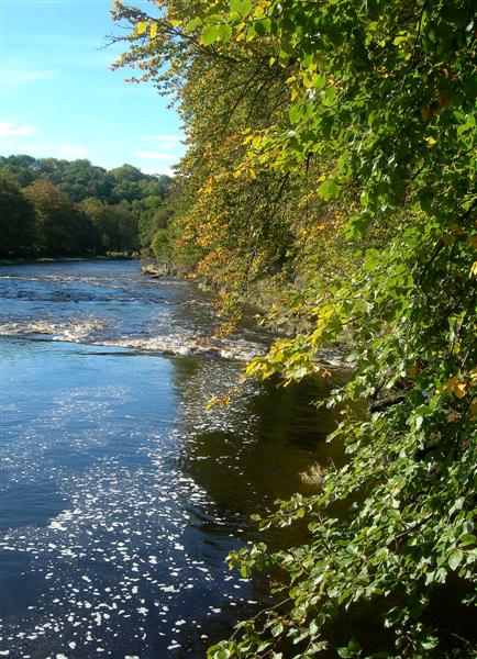 File:Autumn Scene - geograph.org.uk - 579017.jpg