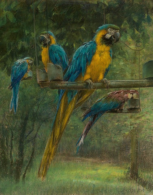 Berthe Art - Blue and Yellow Macaws