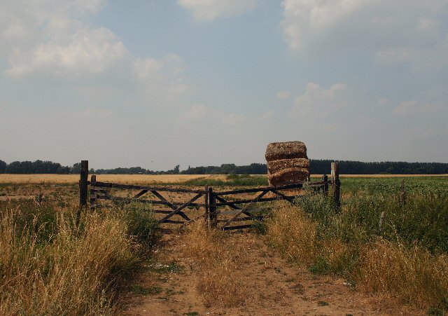 File:Breach Drove - geograph.org.uk - 208521.jpg