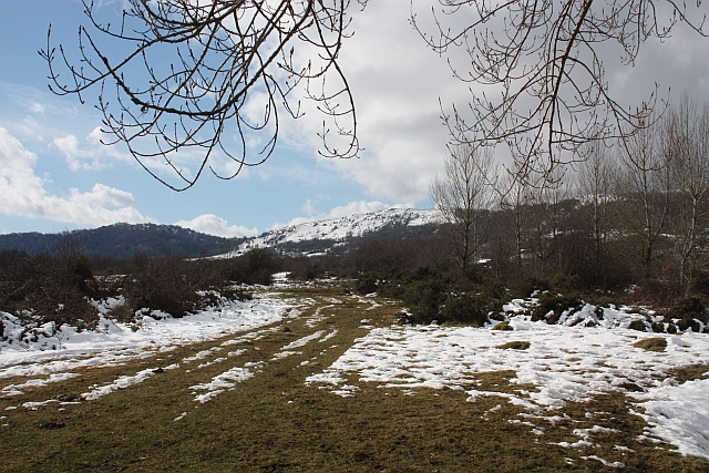 File:Castlemorton Common - geograph.org.uk - 1722259.jpg