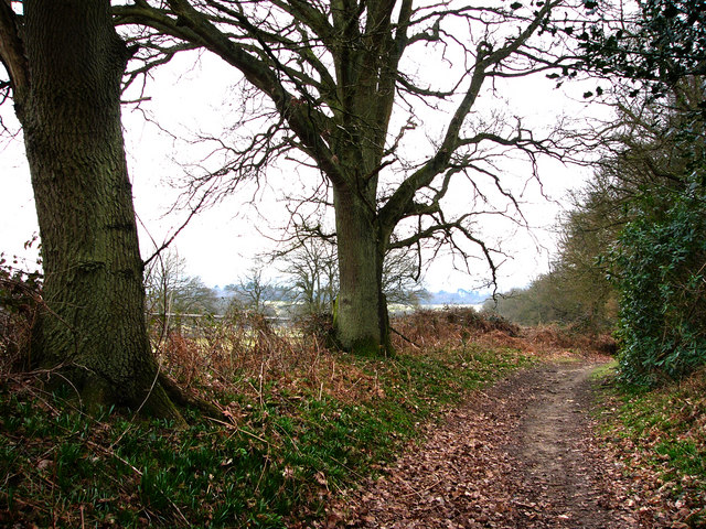 File:Cumbers Lane, near Borden - geograph.org.uk - 708613.jpg