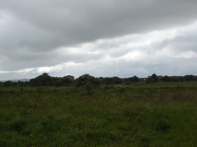 File:Easter Inch Moss, Blackburn, West Lothian - geograph.org.uk - 199735.jpg