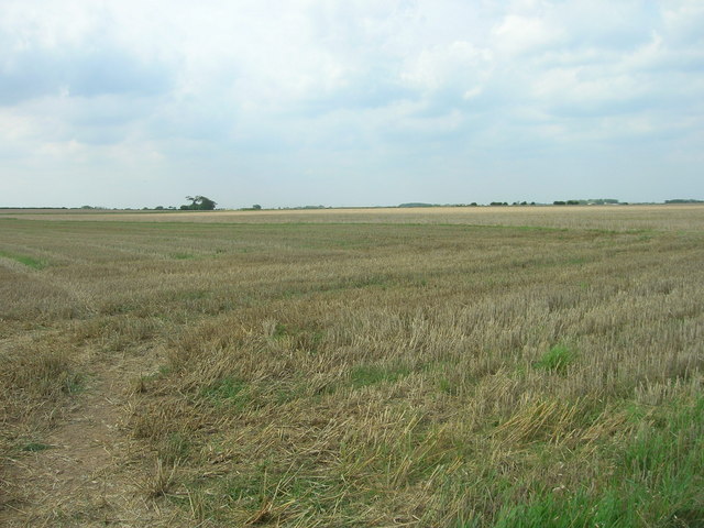 File:Farmland near Aldbrough - geograph.org.uk - 1442545.jpg