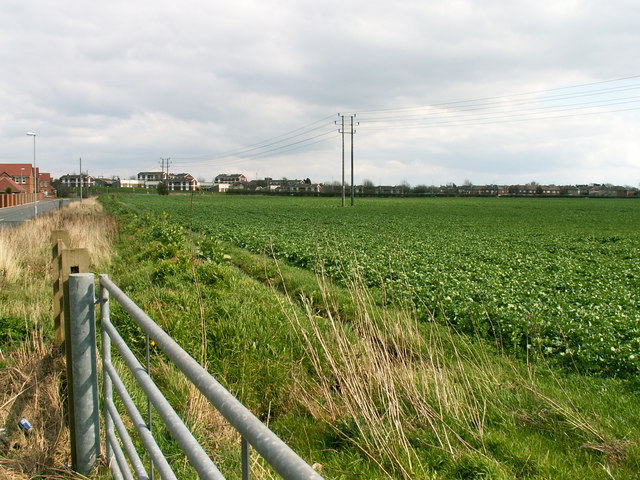 File:Farmland on Water Lane, Mansfield - geograph.org.uk - 153093.jpg