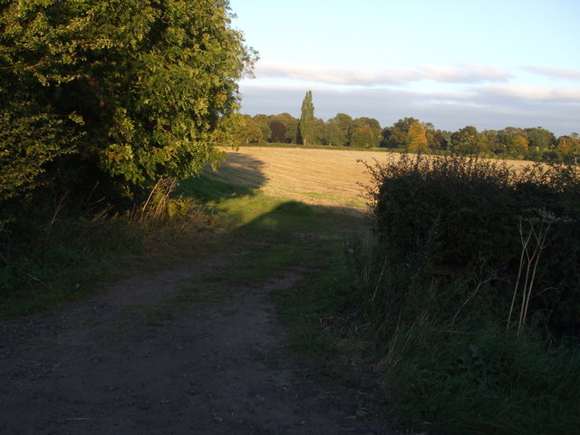 Field on The Park towards Hotham Hall - geograph.org.uk - 1491575
