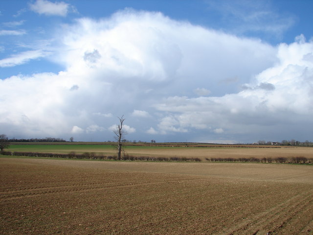 File:Fields between Stamford and Ryhall - geograph.org.uk - 1229379.jpg