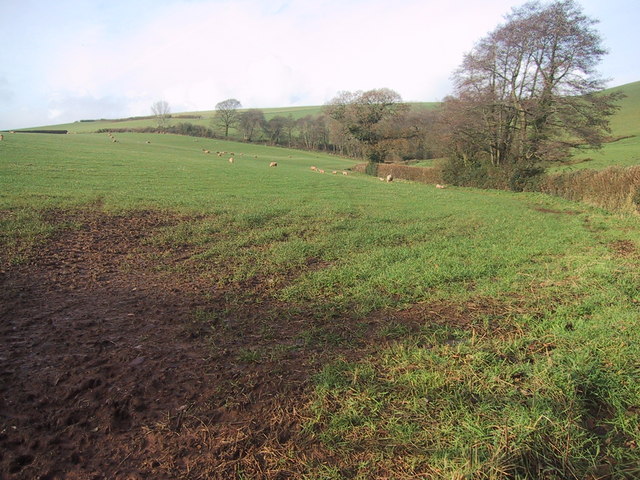 File:Fields on the Raddon Hills - geograph.org.uk - 1612055.jpg