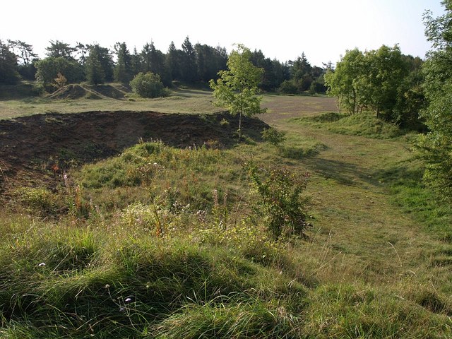 Former Brownstone Quarry, Leckhampton Hill - geograph.org.uk - 976785