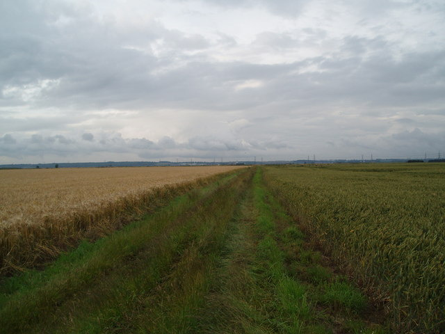 File:Grass Lane to Poplar Farm - geograph.org.uk - 481739.jpg