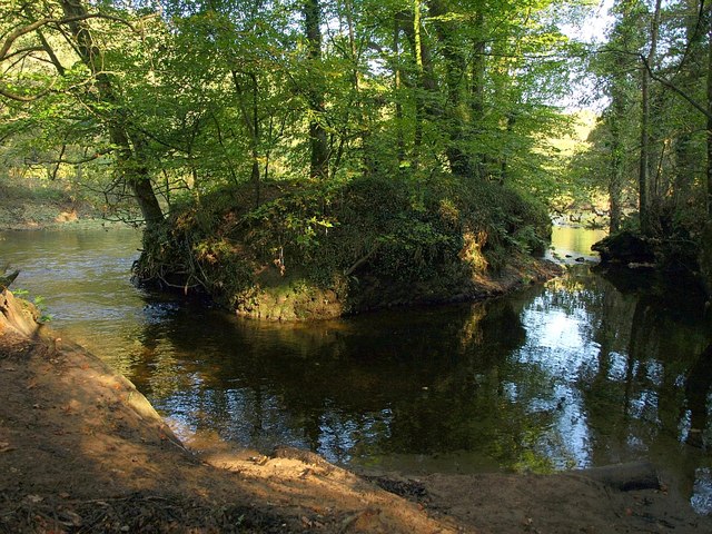 File:Islet in the Dart - geograph.org.uk - 1009919.jpg