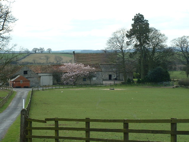 File:Looking SW from the A170 at Stonegrave Lodge - geograph.org.uk - 61870.jpg