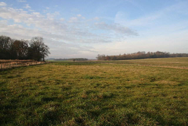 Medieval Fishponds - geograph.org.uk - 95307