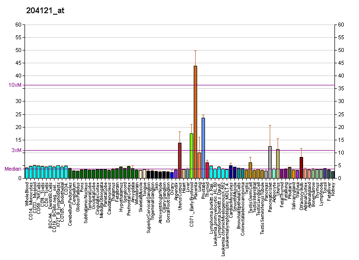 File:PBB GE GADD45G 204121 at fs.png