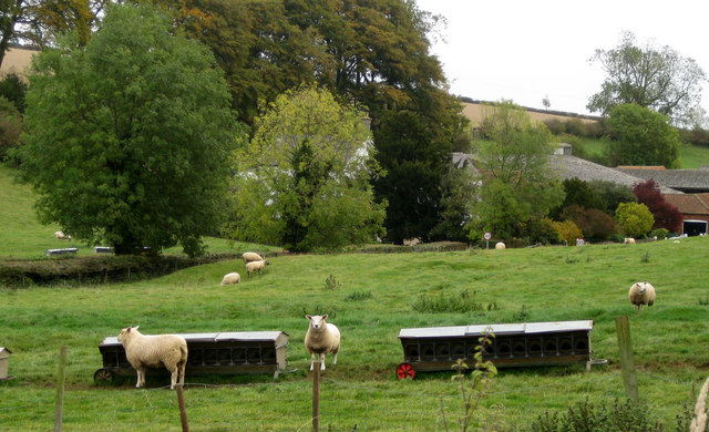 File:Pasture near the Manor House - geograph.org.uk - 1540350.jpg