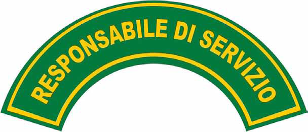 File:Responsabileserviziolombardia.png