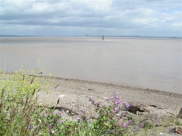 File:Severn Estuary - geograph.org.uk - 487131.jpg