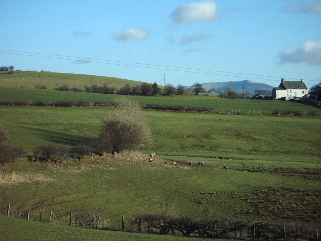 File:Sheep - geograph.org.uk - 331866.jpg