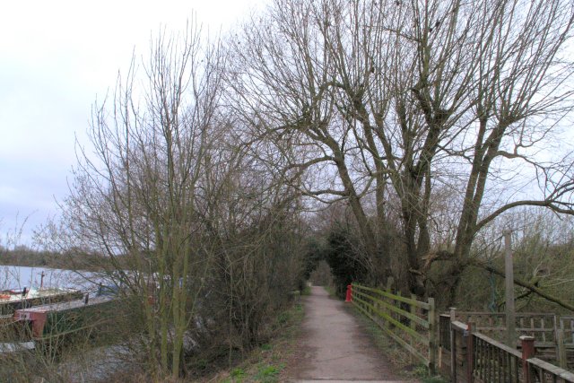 File:Trent side path - geograph.org.uk - 721106.jpg