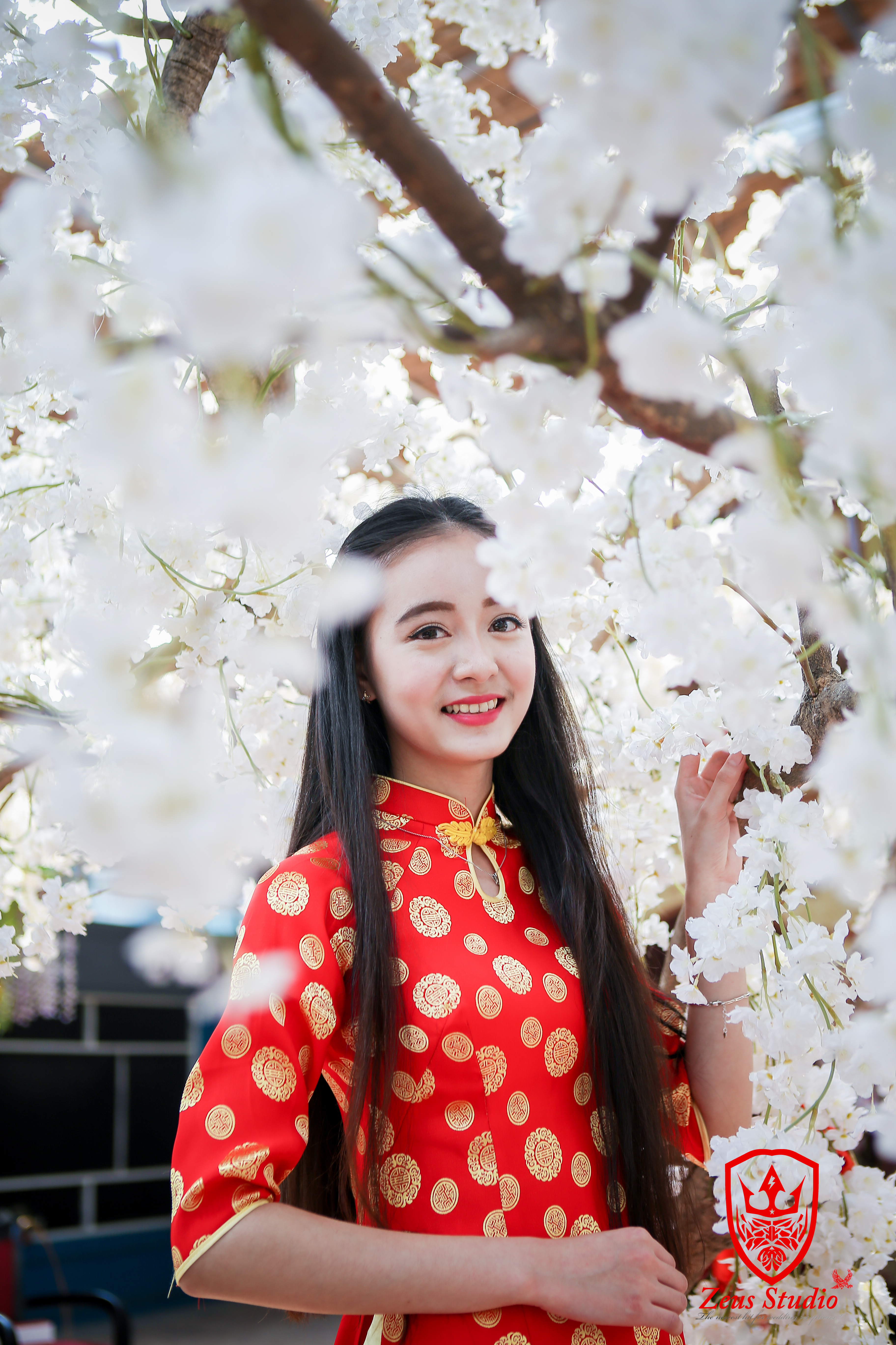 The girl dressed in traditional Vietnamese dress. #1 Photograph by