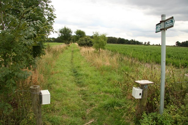 Wasps Nest bridleway - geograph.org.uk - 935541