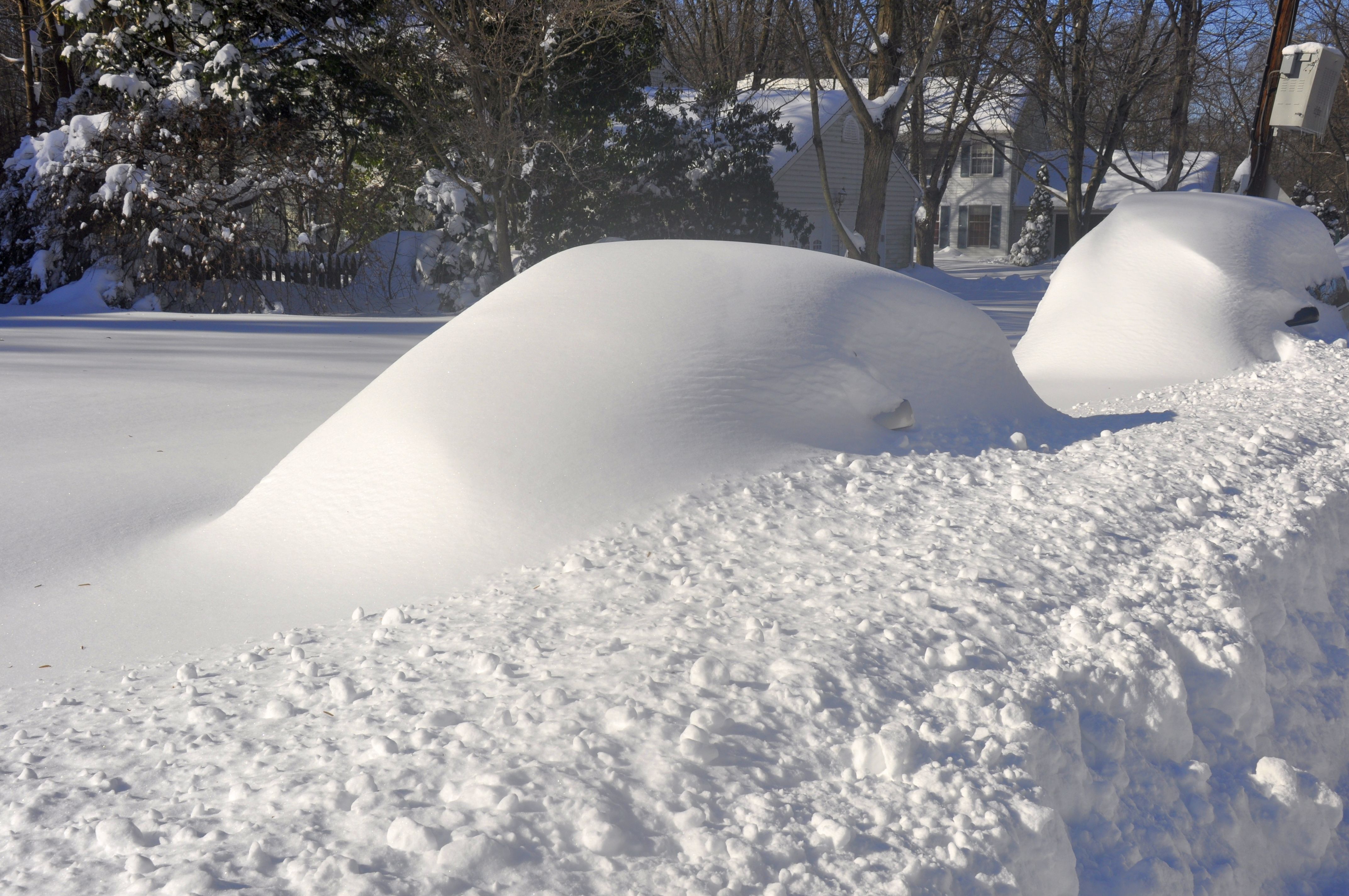 Snowed-in automobiles in the United States.