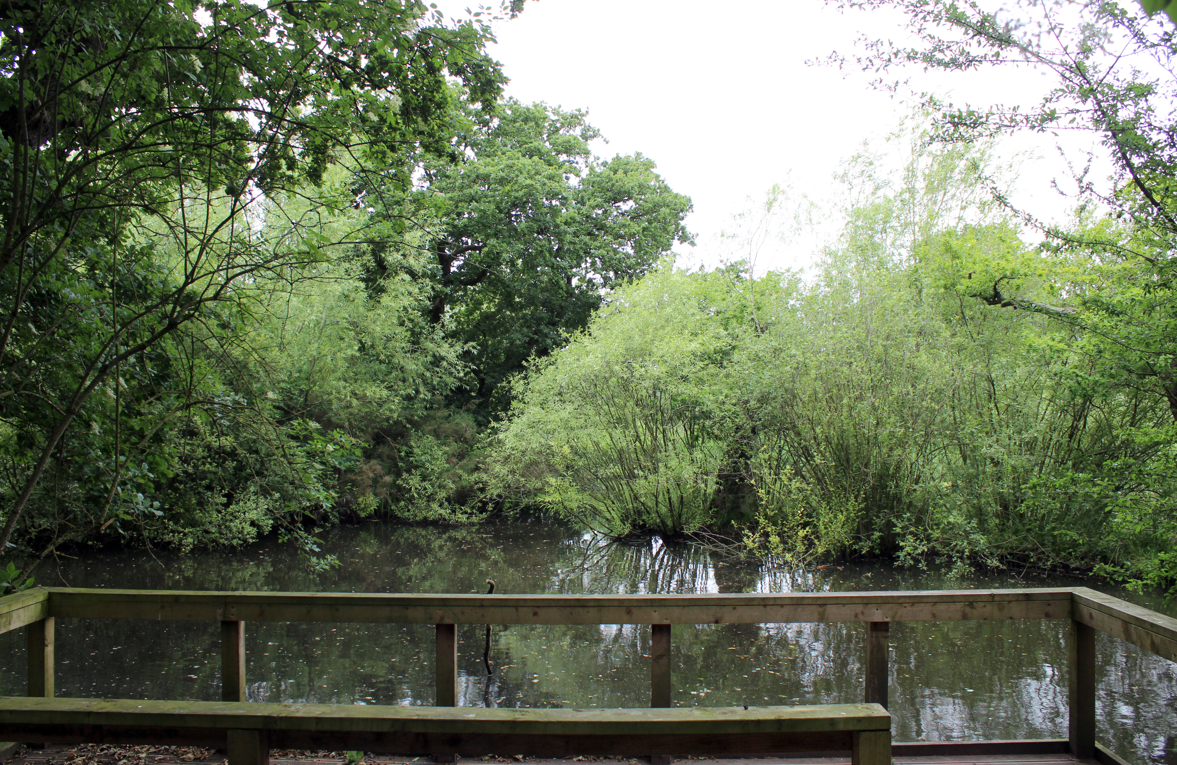 File:Wirral Country Park, Lees Lane  - Wikimedia Commons