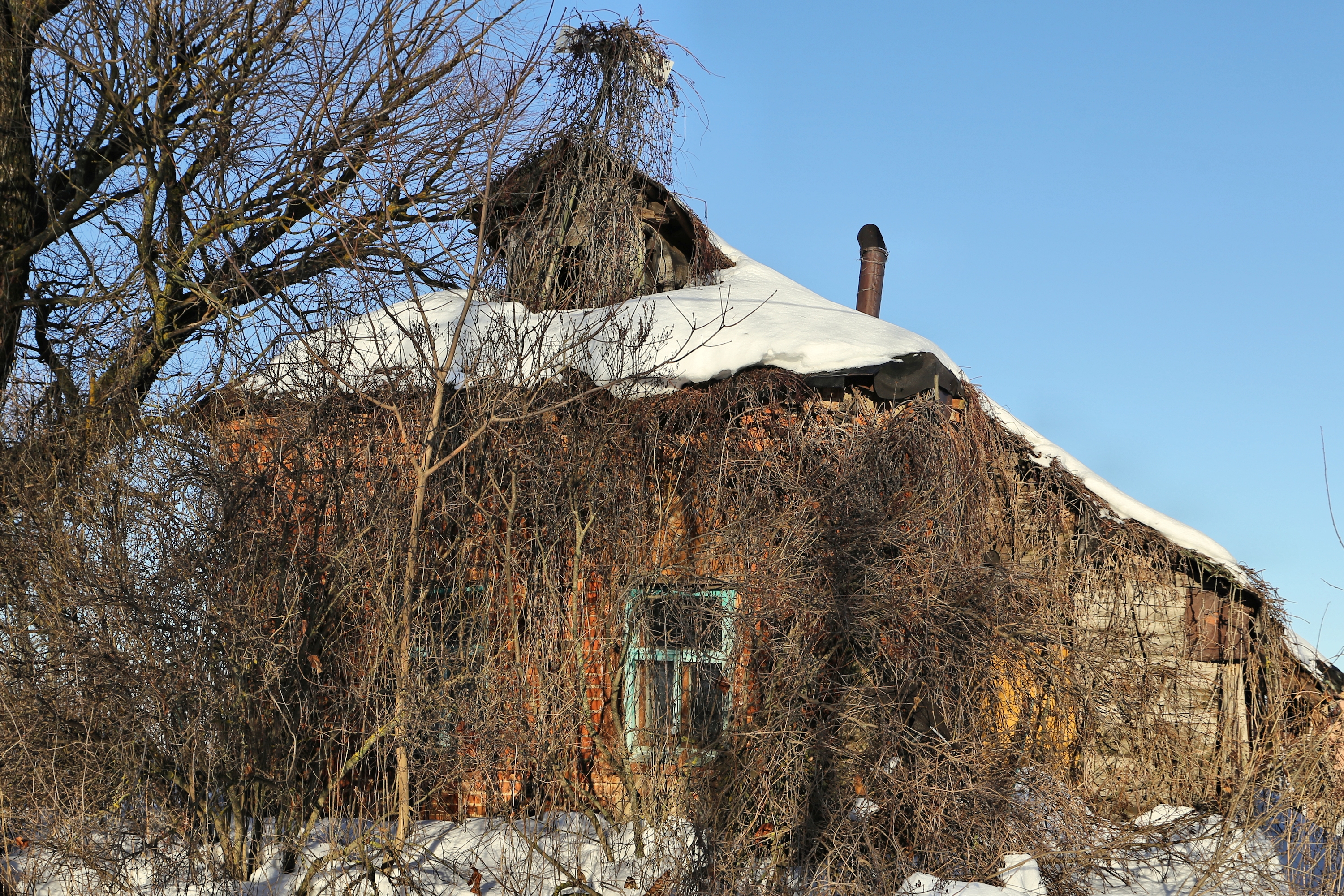 Файл:Головенцыно, дом Князевых, Старая улица, 8.jpg — Путеводитель Викигид  Wikivoyage