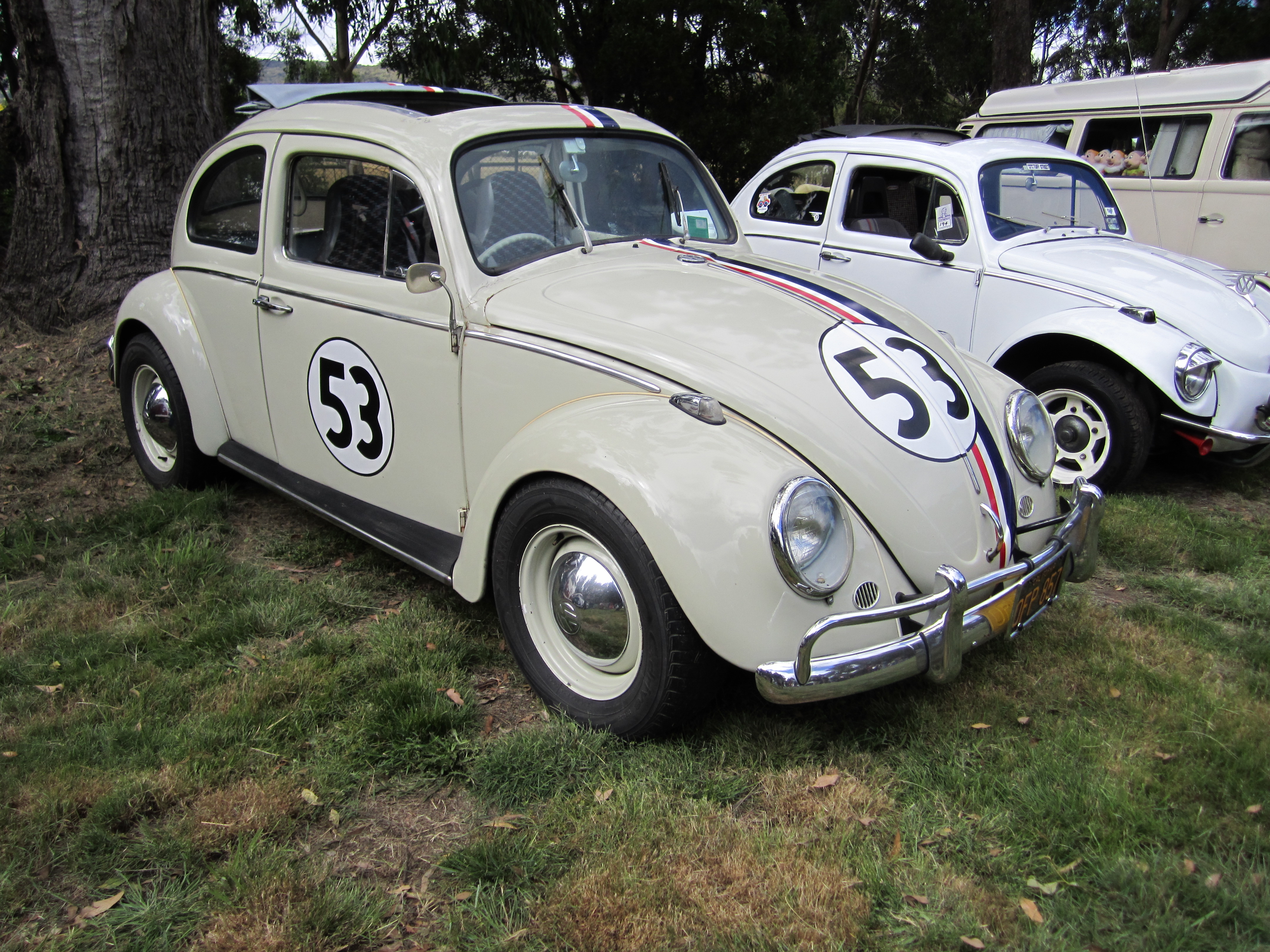 File:1963 Volkswagen Beetle (Herbie).jpg - Wikimedia Commons