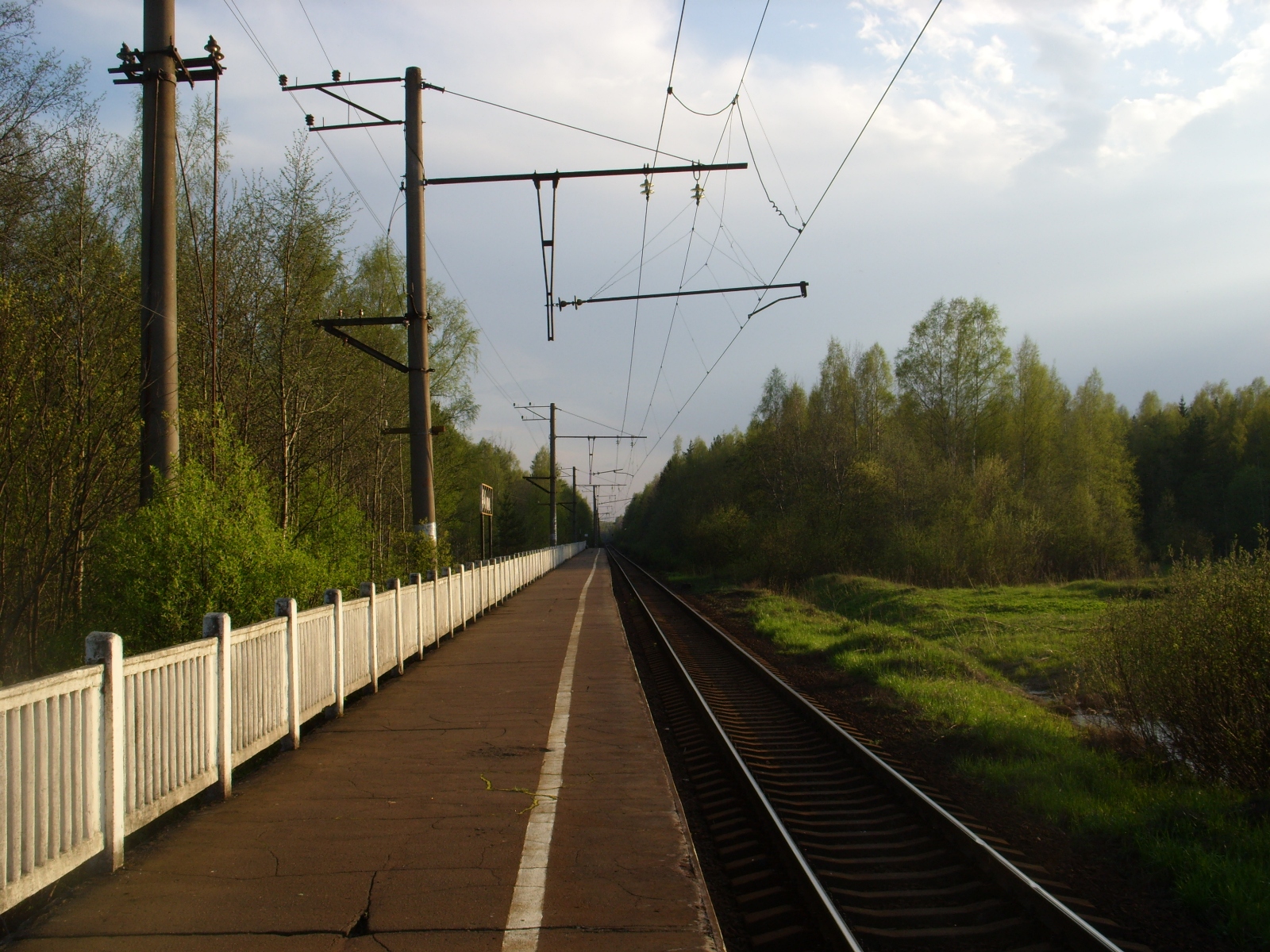 Вид в сторону Санкт-Петербурга