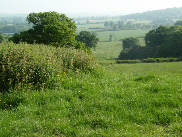 File:Across The Valley To Snorscomb - geograph.org.uk - 1041206.jpg