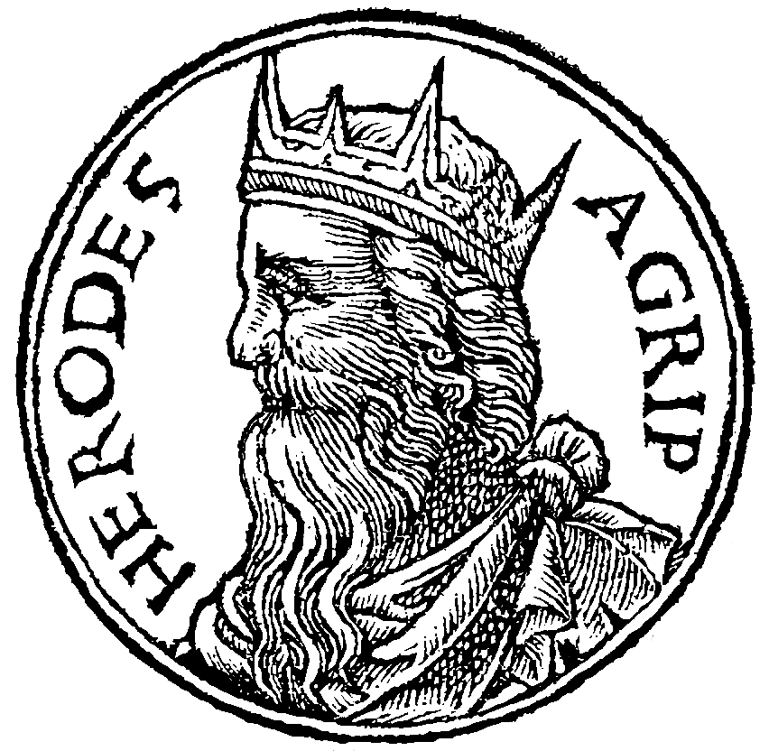 Herod Agrippa Wikipedia