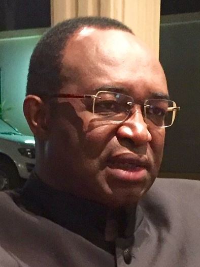 File:Anicet Georges Dologuele 2015 (cropped).jpg