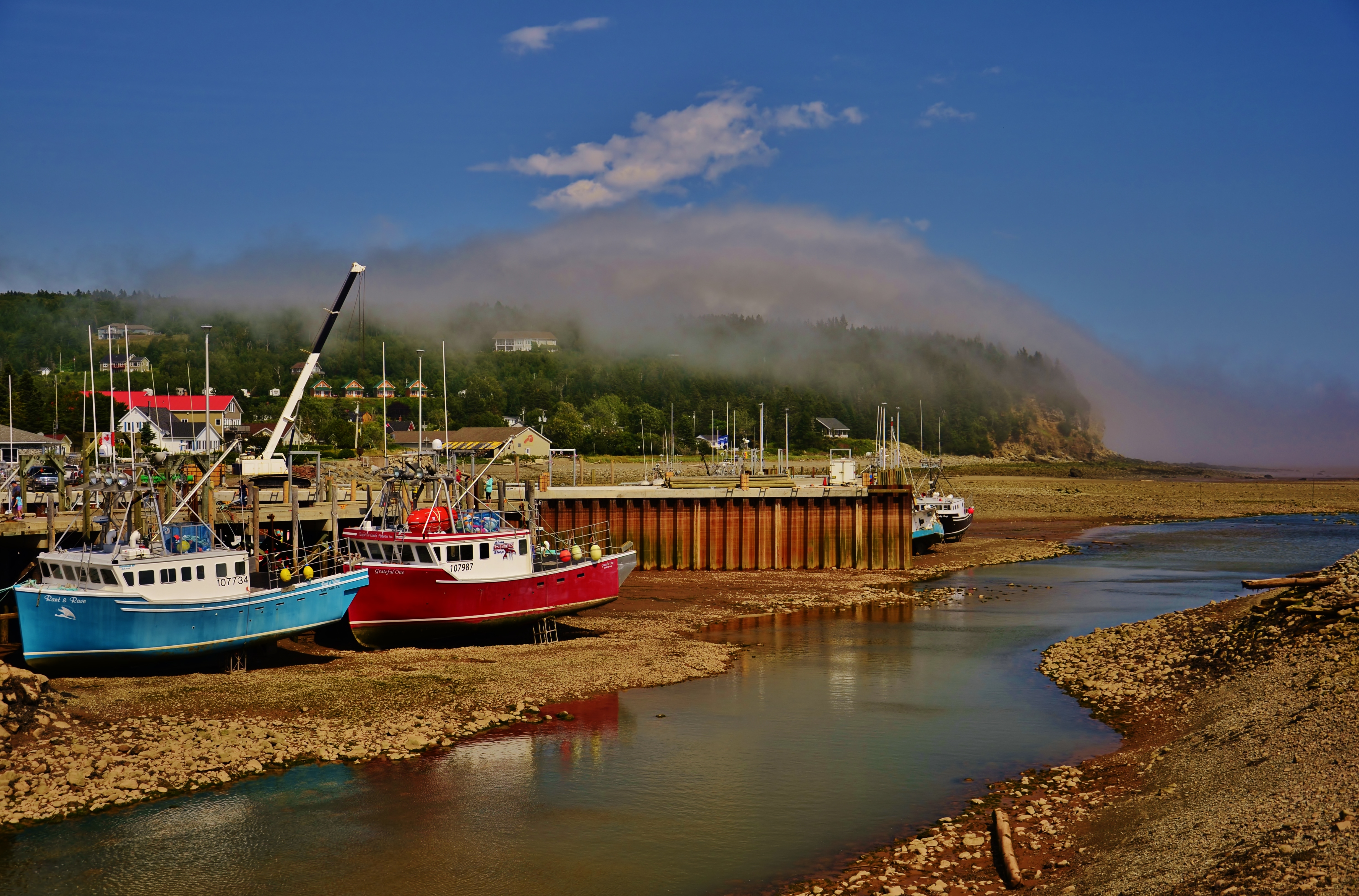 Bay of Fundy - Wikidata