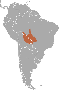 File:Black-tailed Marmoset area.png