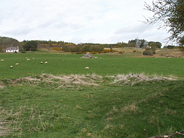 File:Blarbuie - geograph.org.uk - 169936.jpg