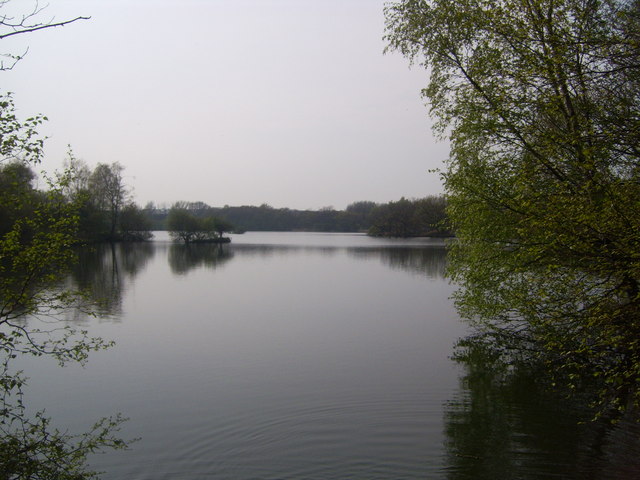 File:Brasside pond - geograph.org.uk - 790154.jpg