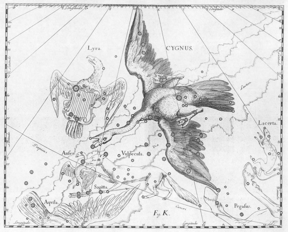 Созвездие орла рисунок