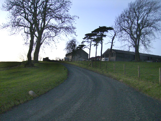 File:Driveway to Warren House - geograph.org.uk - 290483.jpg