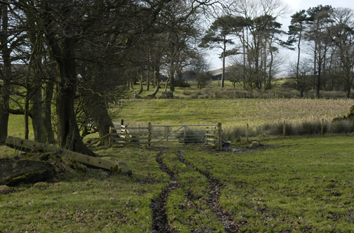 Footpath in Potters Hill New Wood - geograph.org.uk - 1144664