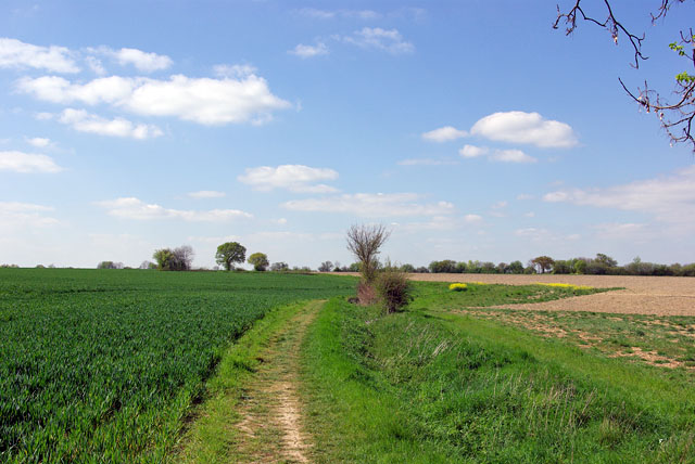 Footpath through the fields - geograph.org.uk - 3247087