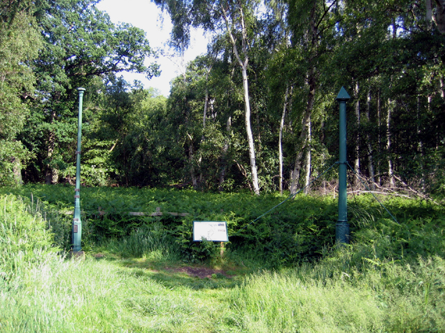 File:Holme Fen Posts, Cambs - geograph.org.uk - 50022.jpg