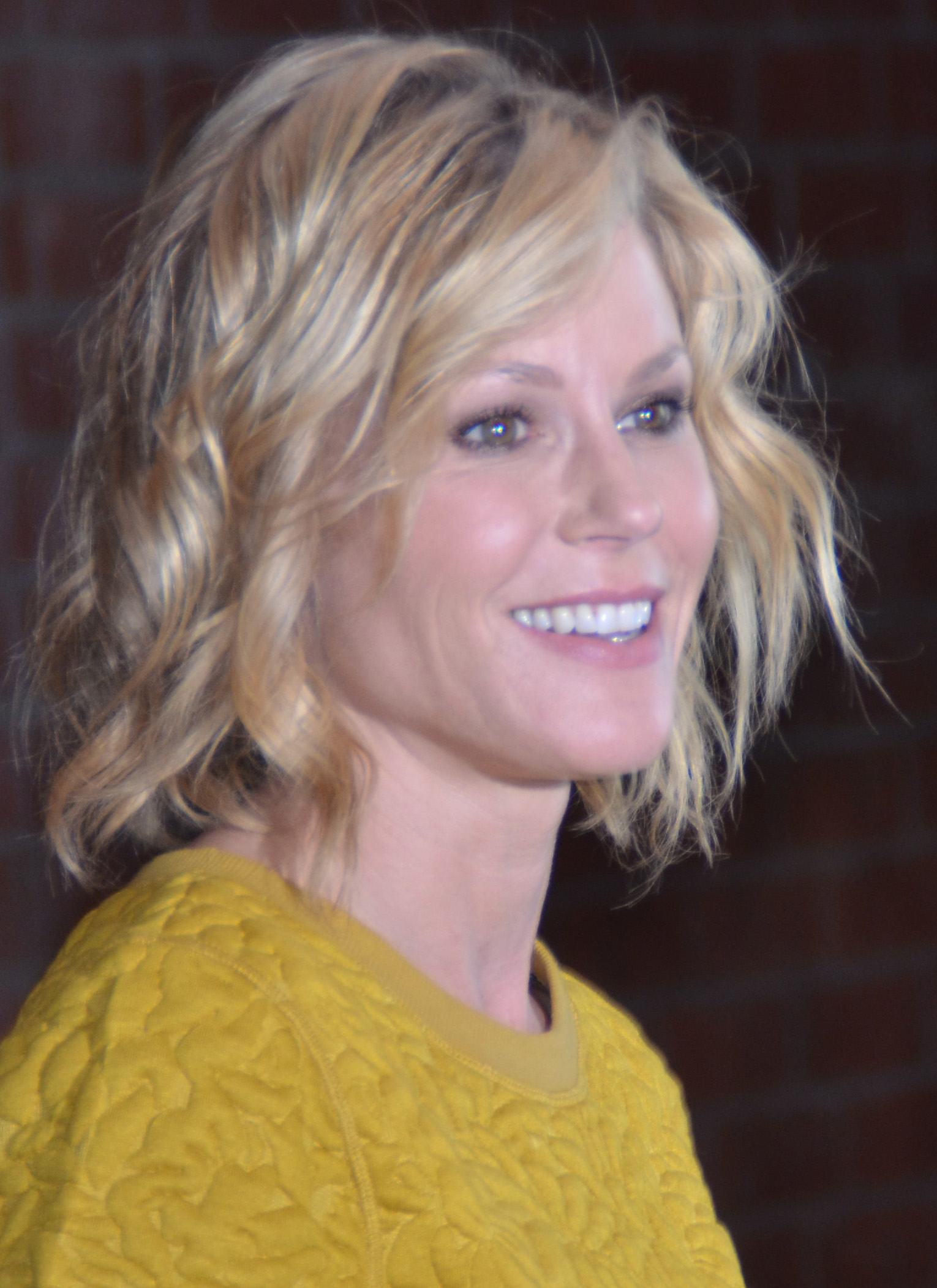 Pin by Andrea Käufl on Frisuren | Haircut pictures, Julie bowen hair,  Celebrity bobs hairstyles