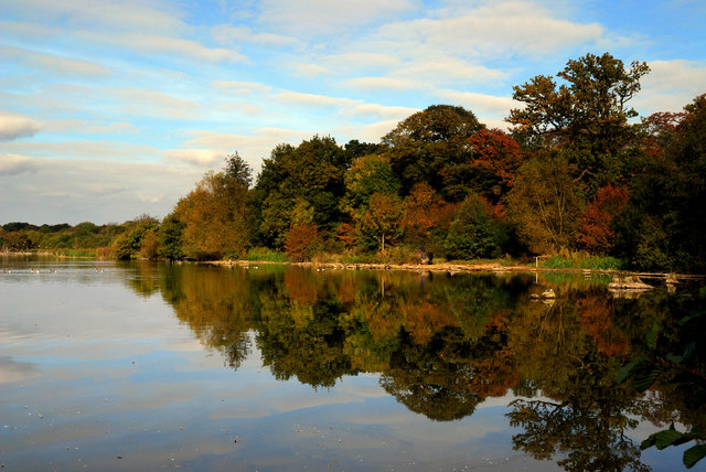 Lakeside Hatfield Forest - geograph.org.uk - 1545377