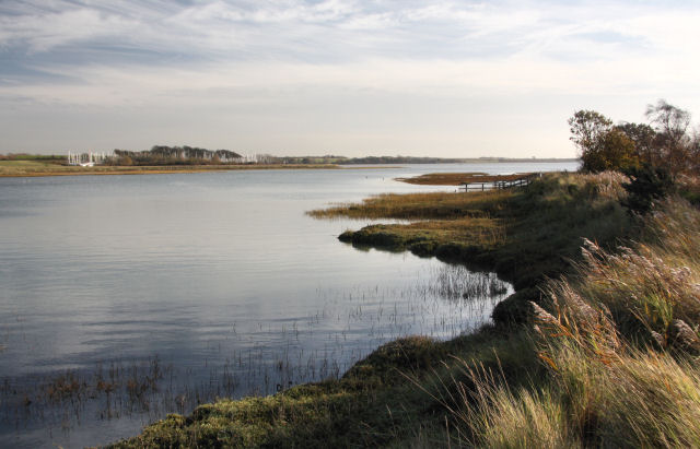 Levington Creek - geograph.org.uk - 1592176